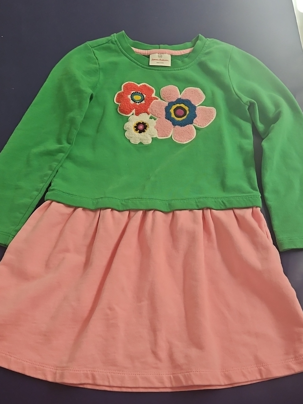 Hanna Andersson Green Bodice Pink Skirt Floral Appliqué Dress